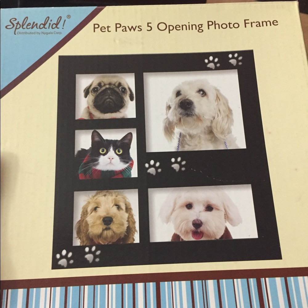 PET photo frame